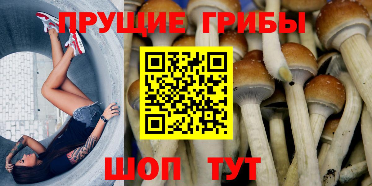 Псилоцибиновые грибы прущие грибы  Галлюциногенные грибы мухоморы  Вход с VPN  Выкса 
