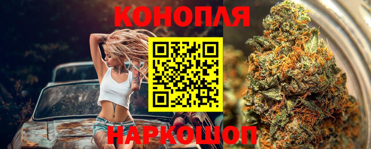 Выкса  Каннабис планчик  Каннабис White Widow  Вход с VPN 
